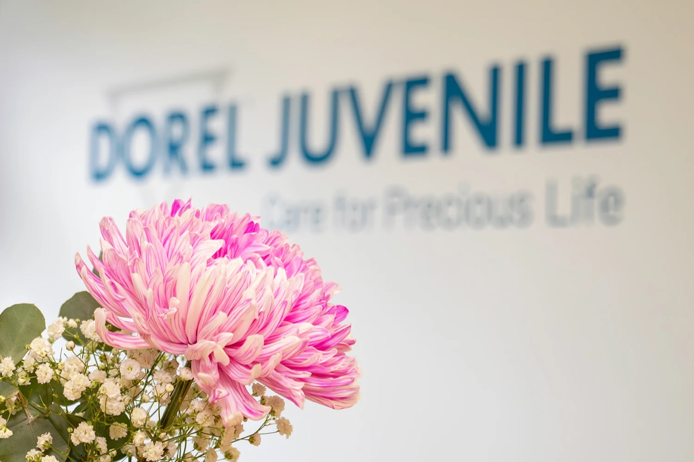 40-jähriges Jubiläum – iventos
